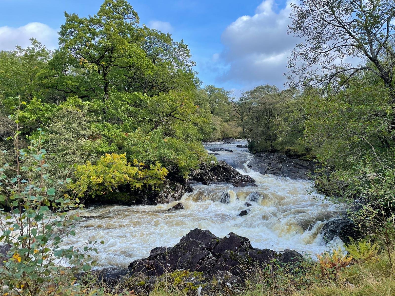 West Highland Way trail, River Falloch on the way to Tyndrum